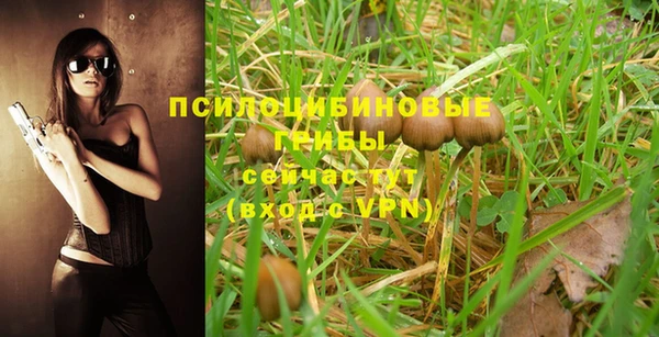 apvp Арсеньев