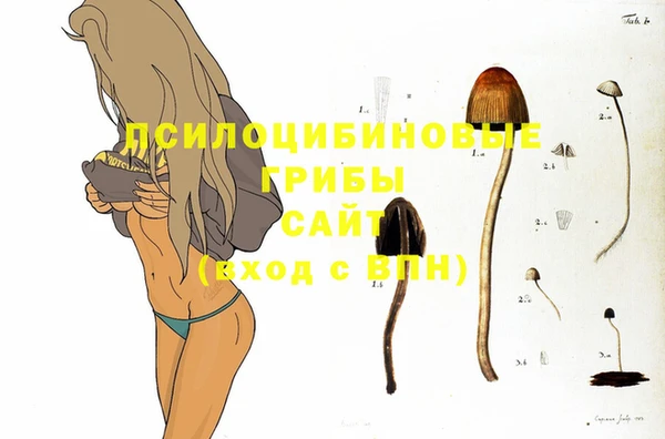 apvp Арсеньев